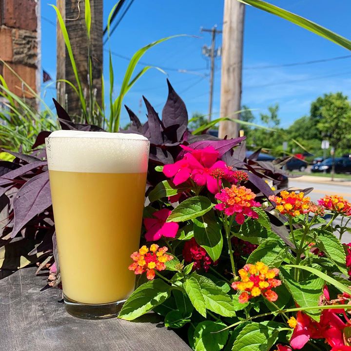 Introducing our newest addition: “Cashmere.” A delicious hazy pale ale, brewed with mosaic, citra,…