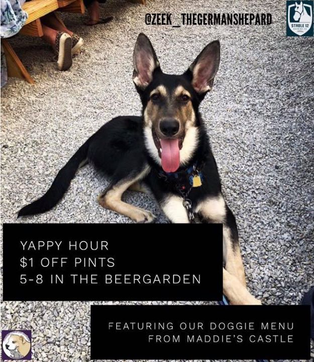 Your dog is PUMPED – it’s a beautiful day and tonight is Yappy Hour.…