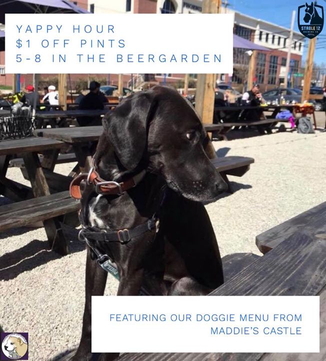 It’s your dog’s favorite night of the week! Join us tonight for $1 off…