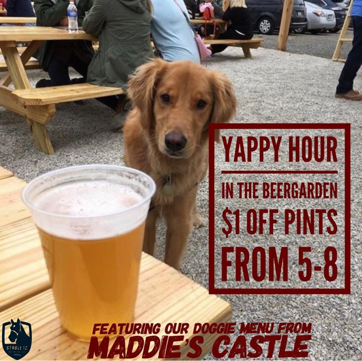 Second winter is over and spring is back just in time for Yappy Hour.…