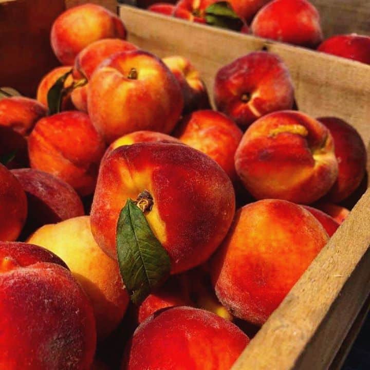 Somethin’ peachy coming your way very #stable12 #phoenixville #craftbeer #freshpeaches #drinklocal #supportlocal #pabeer