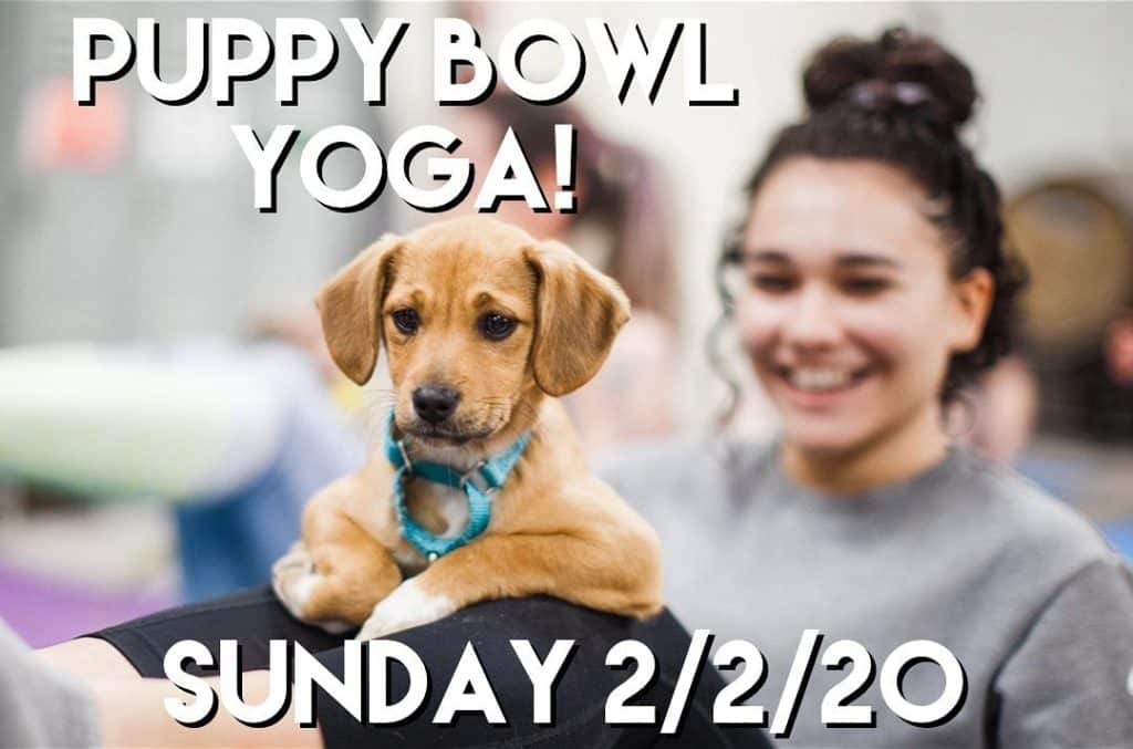 NEXT SUNDAY-it's a Puppybowl!! Enjoy some yoga with rescue pups before the big …