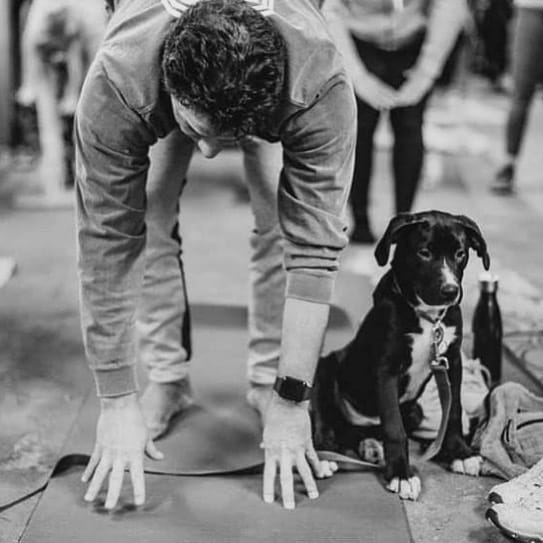 This Sunday! Enjoy some yoga with rescue pups before the big game!