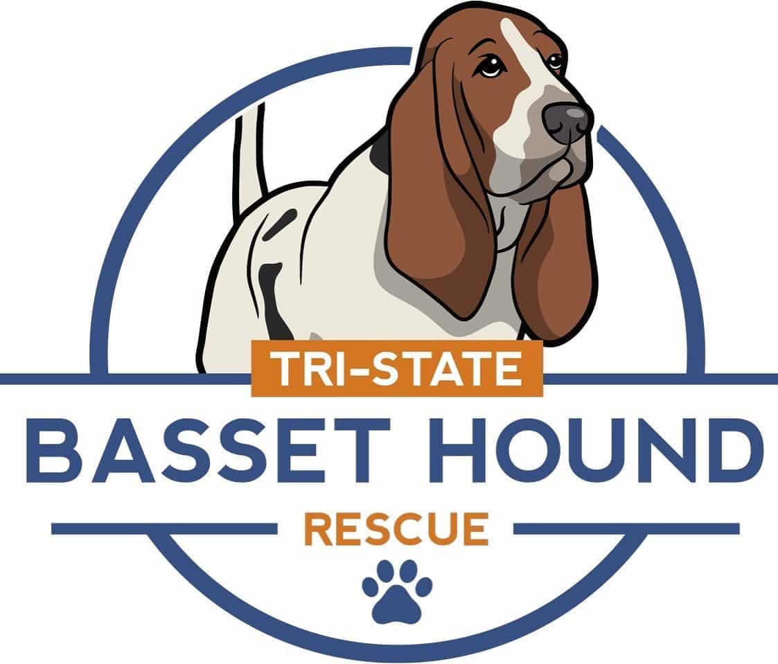 basset rescue near me