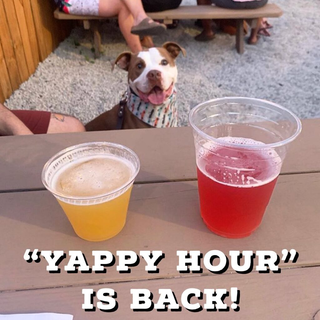 “Yappy Hour” returns today!