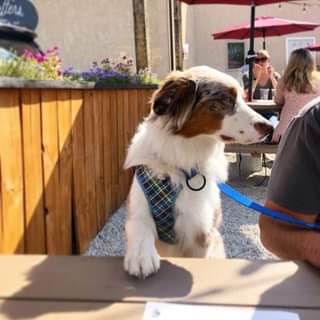More beer, plz. Chase away the Sunday scaries at our beer garden. & don’t forget