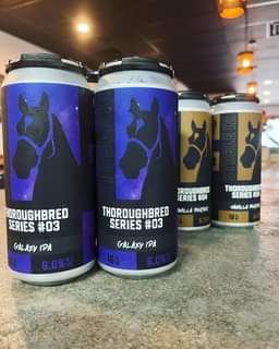 THOROUGHBRED #03 and #04 NOW OUT! Galaxy IPA and the Vanilla Porter are now both